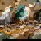 Eco-leer centrum voor Permakultuur en onderwijs in Thailand vrijwilligerswerk bouwen