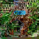 Eco-leer centrum voor Permakultuur en onderwijs in Thailand vrijwilligerswerk perma