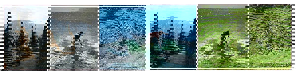 Java en Bali jongerenreis 3 mooie foto's