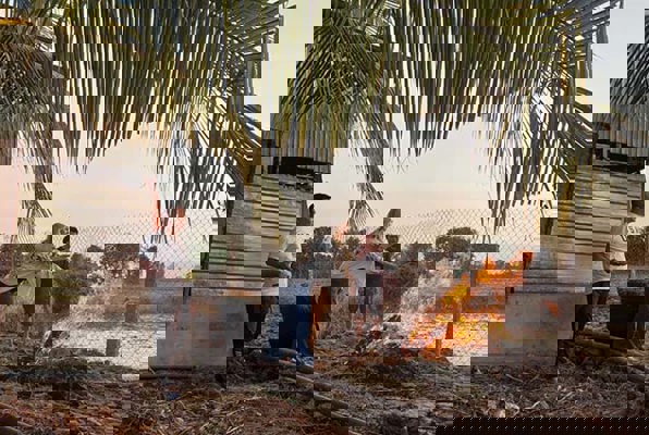 Community & Cultuur project Vietnam kampvuur 