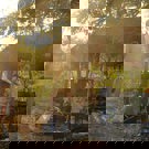 Eco-leer centrum voor Permakultuur en onderwijs in Thailand vrijwilligerswerk in de natuur