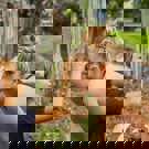 Vrijwilligerswerk Thailand community project mooie foto vrijwilliger met kind uit Thailand 