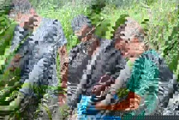 Olifanten project Sri Lanka ontdek en leer